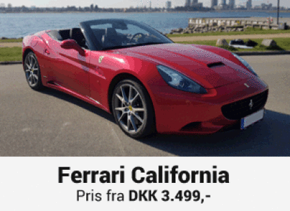 Lej en Lamborghini Gallardo, Lamborghini til udstilling, Lamborghini til konfirmation, bryllupskørsel, konfirmationskørsel