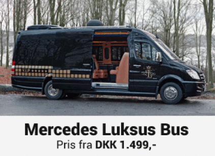 mercedes bus, luksus bus, vip transport