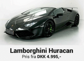 Lej en Lamborghini Gallardo, Lamborghini til udstilling, Lamborghini til konfirmation, bryllupskørsel, konfirmationskørsel